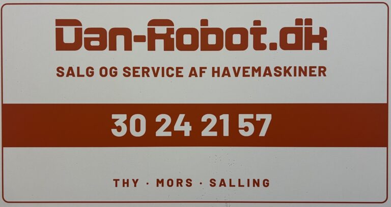 Dan Robot